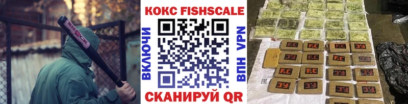 COCAIN Fish Scale  дарк нет официальный сайт  Мураши  где найти  