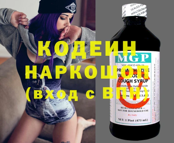 хмурый Алзамай