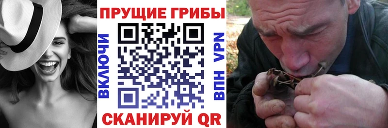 Галлюциногенные грибы GOLDEN TEACHER  Мураши 